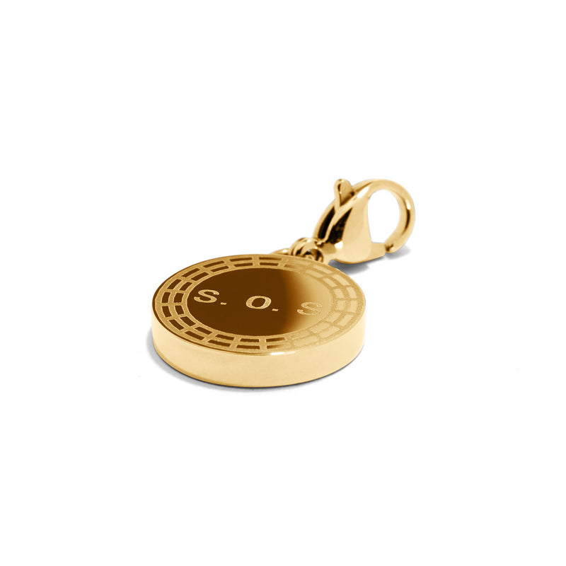 Charm SOS Gull